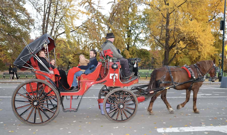 New York City: Central Park Horse Carriage 25-min Ride - Is $75 a fair price for 25 minutes?