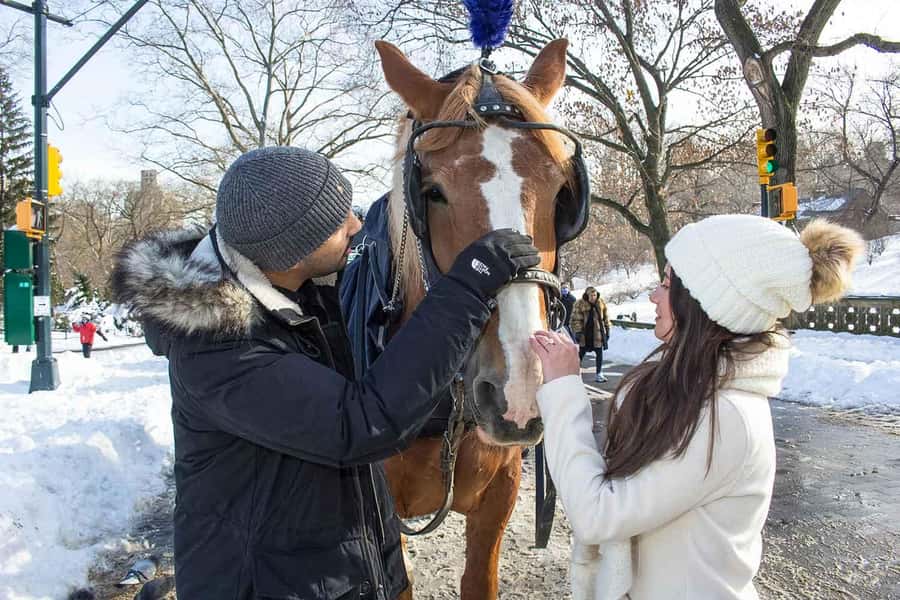 New York City: Central Park Horse Carriage 25-min Ride - Who will enjoy this ride most?
