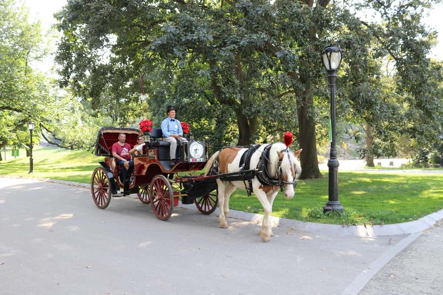 New York City: Central Park Horse Carriage 25-min Ride - Wollman Rink and the first views of the park