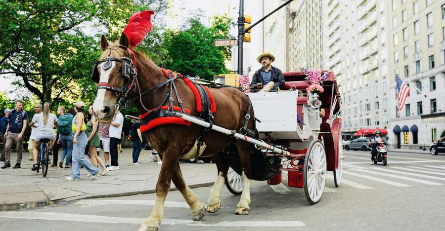 New York City: Central Park Private Horse and Carriage Tour - Key points to know before booking
