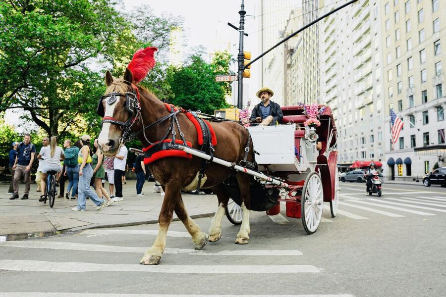 New York City: Central Park Private Horse and Carriage Tour - Why a carriage ride works well in Central Park