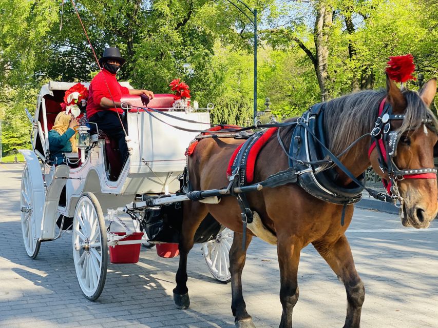 New York City: Central Park Private Horse and Carriage Tour - From the carousel and zoo to the Plaza Hotel