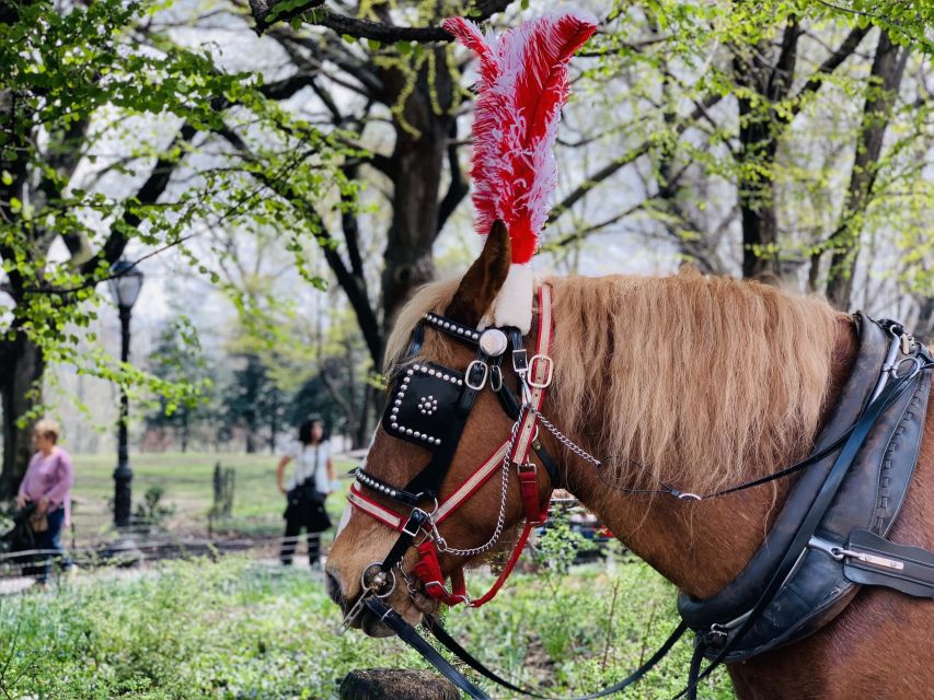 New York City: Central Park Private Horse and Carriage Tour - Bethesda Fountain and Terrace: the main photo moment