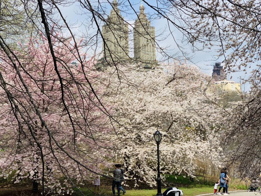 New York City: Central Park Private Horse and Carriage Tour - The San Remo and Strawberry Fields