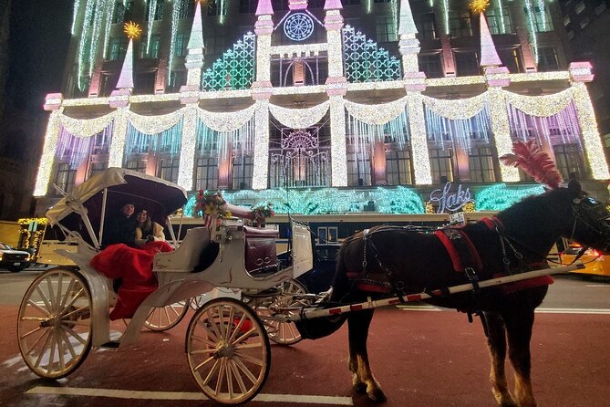New York City Christmas Lights Private Horse Carriage Ride - Key things to know before booking