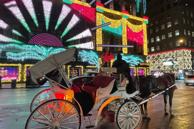 New York City Christmas Lights Private Horse Carriage Ride - Rockefeller Center and the Christmas Tree