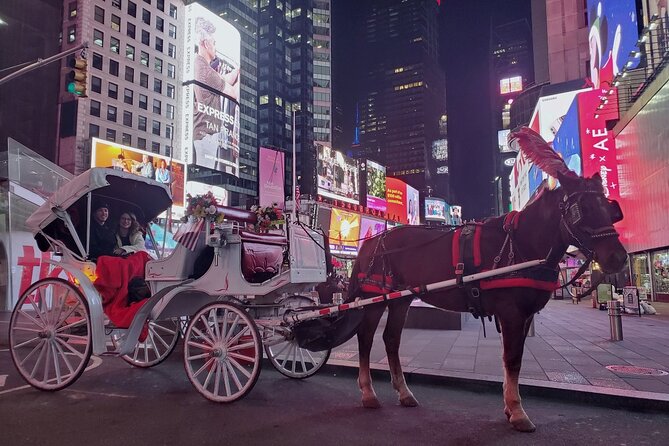 New York City Christmas Lights Private Horse Carriage Ride - Timing the Saks Fifth Avenue light show