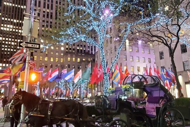 New York City Christmas Lights Private Horse Carriage Ride - The guides and horses shape the experience