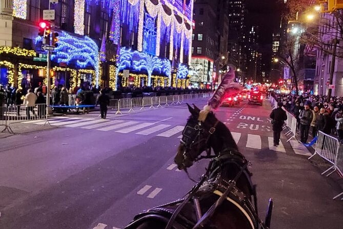 New York City Christmas Lights Private Horse Carriage Ride - Warm blankets, winter comfort, and what to wear
