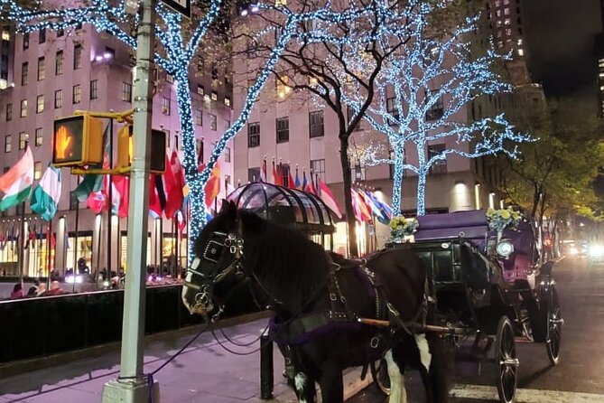 New York City Christmas Lights Private Horse Carriage Ride - Is $220 a fair price?