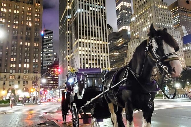 New York City Christmas Lights Private Horse Carriage Ride - Who will enjoy this ride most?