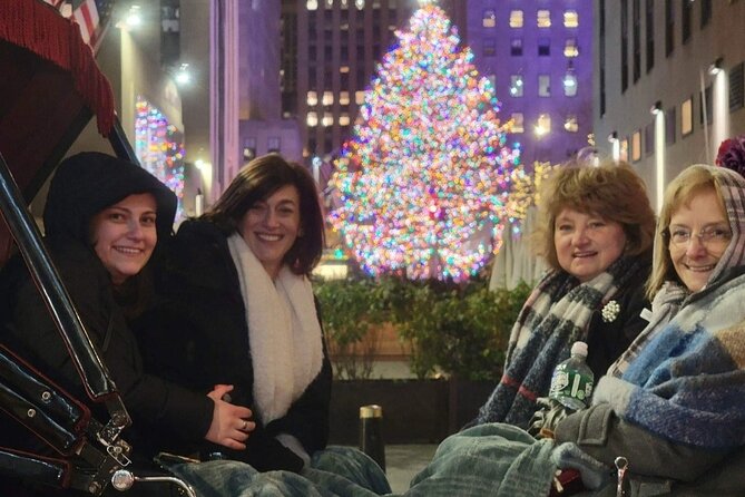 New York City Christmas Lights Private Horse Carriage Ride - Fifth Avenue’s decorated hotels and famous windows