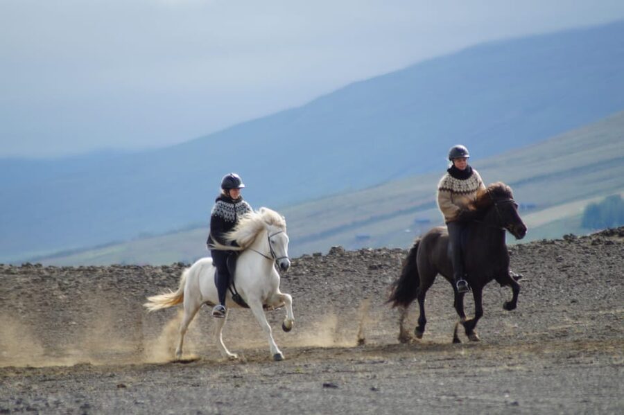 North Iceland: Horseback Riding Tour - Leaving the farm through fields and river country