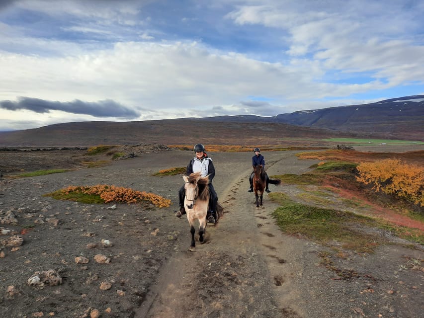 North Iceland: Horseback Riding Tour - The black sand plain