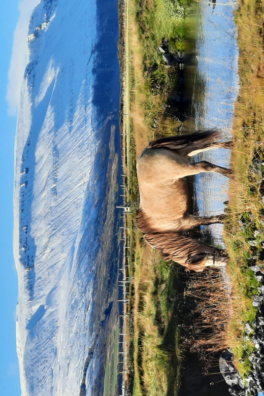 North Iceland: Horseback Riding Tour - What the two-hour duration really gives you