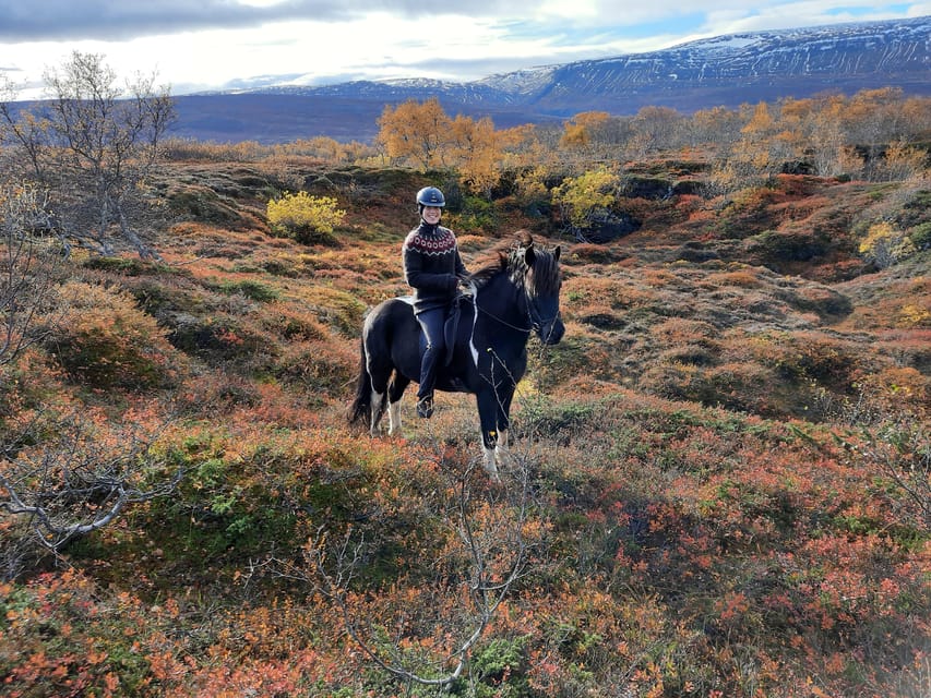 North Iceland: Horseback Riding Tour - Price, group size, and transport