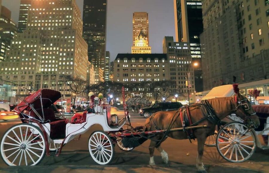 NYC : Central Park by Night: Horse-Drawn Carriage Ride - Meeting at the southern edge of the park
