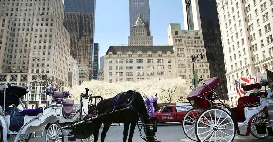 NYC: Central Park Christmas Lights Horse-Drawn Carriage Ride - A Slow Start Beside Central Park South