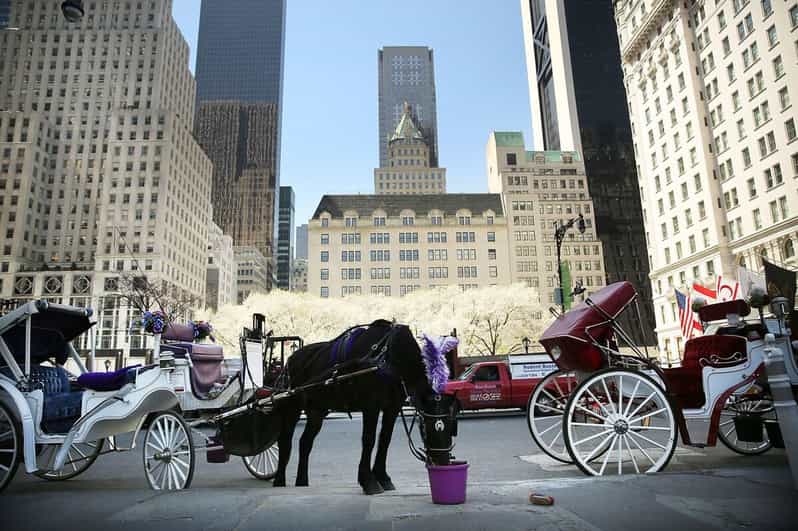 NYC: Central Park Christmas Lights Horse-Drawn Carriage Ride - Central Park After Dark