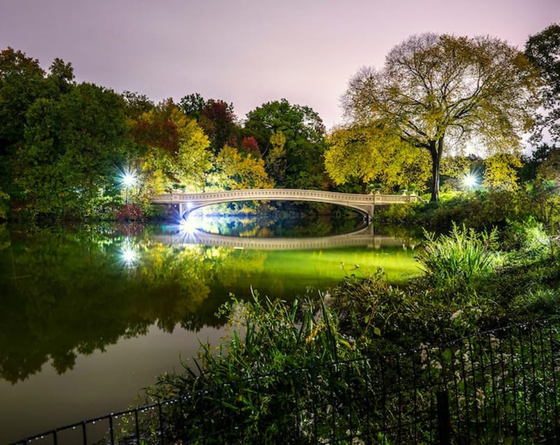 NYC: Central Park Christmas Lights Horse-Drawn Carriage Ride - Guides, Photos, and Personal Service