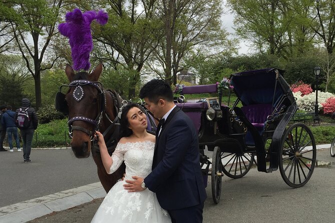 NYC Central Park Horse and Carriage Ride: Long Ride 45 min - Wollman Rink, Heckscher Playground, and the Carousel