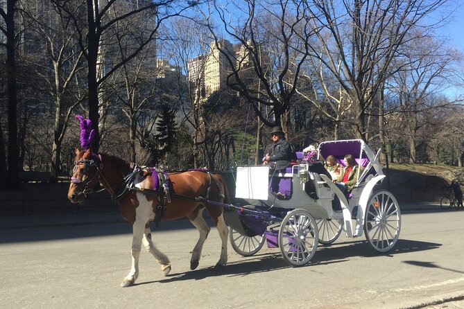 NYC Central Park Horse and Carriage Ride: Long Ride 45 min - The Lake and the built-in photo stop
