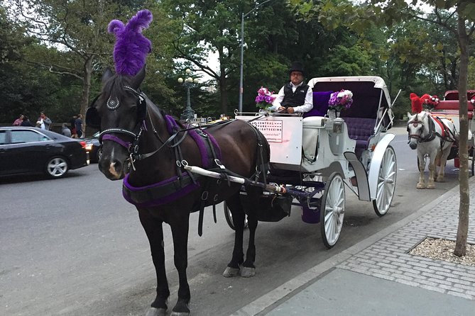 NYC Central Park Horse and Carriage Ride: Long Ride 45 min - Conservatory Water, the Bandshell, and Bethesda Terrace