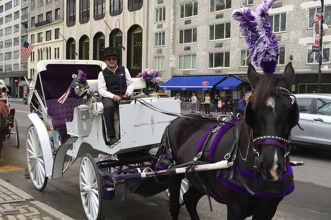 NYC Central Park Horse and Carriage Ride: Long Ride 45 min - Tavern on the Green, Sheep Meadow, and the return