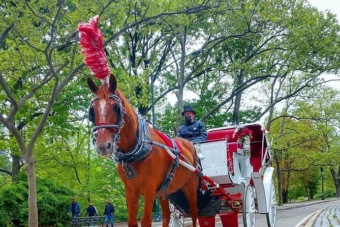 NYC Central Park Horse and Carriage Ride: Long Ride 45 min - Fifth Avenue, the Upper West Side, and the park’s city edges