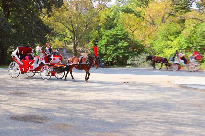 NYC Central Park Horse Carriage Ride (Up to 4 Adults) - The carousel, Balto, and family-friendly stops