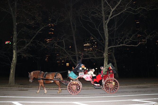 NYC Central Park Horse Carriage Ride (Up to 4 Adults) - Tavern on the Green and Bow Bridge
