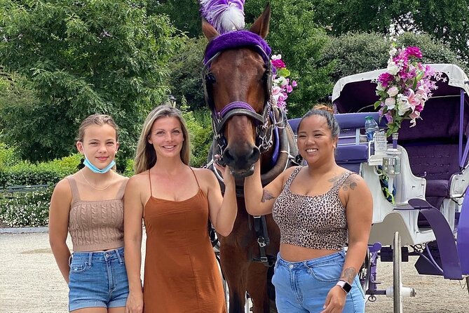 NYC Central Park Horse Carriage Rides (Winter sale) - A carriage ride that turns Central Park into a moving film set
