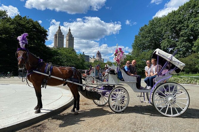 NYC Central Park Horse Carriage Rides (Winter sale) - Wollman Rink, the Carousel, and the park’s southern edge