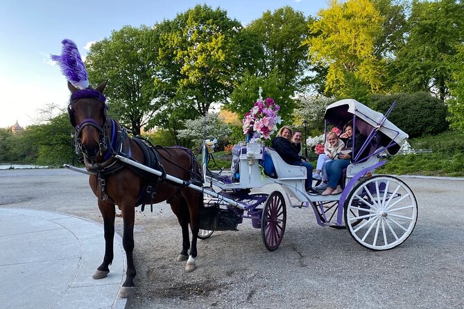 NYC Central Park Horse Carriage Rides (Winter sale) - The Boat Pond, Loeb Boathouse, and the Lake