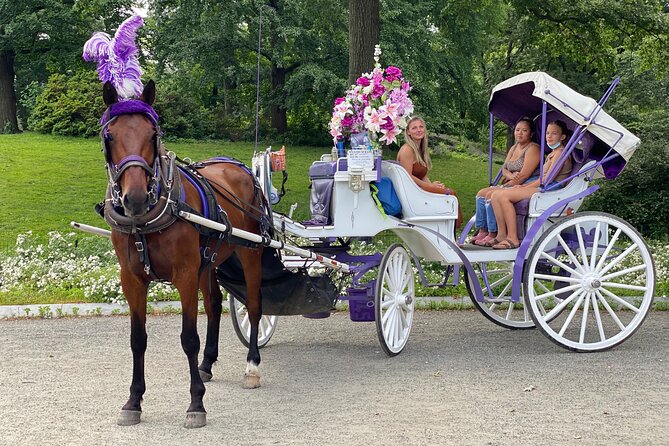 NYC Central Park Horse Carriage Rides (Winter sale) - Bethesda Fountain and Cherry Hill photo stops