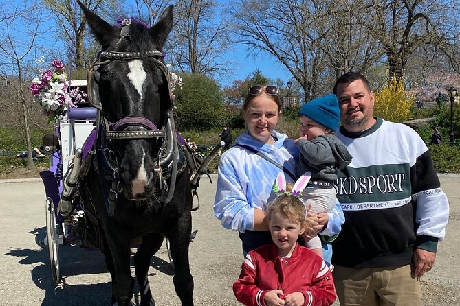 NYC Central Park Horse Carriage Rides (Winter sale) - Bow Bridge, the Upper West Side, and Strawberry Fields