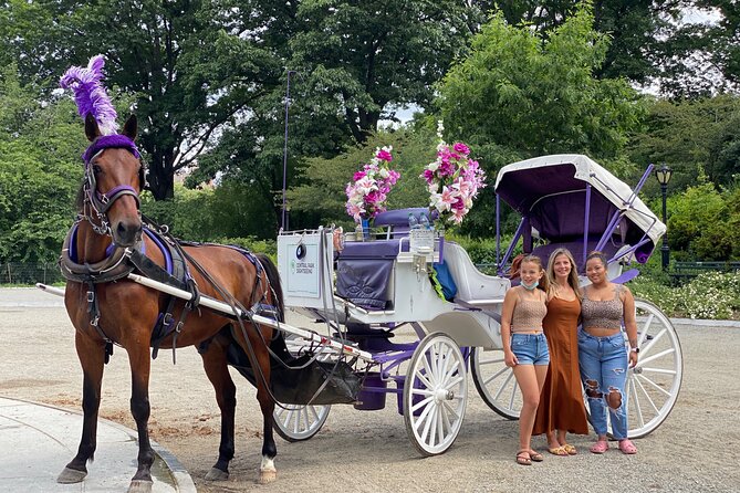 NYC Central Park Horse Carriage Rides (Winter sale) - Literary Mall and the Balto statue