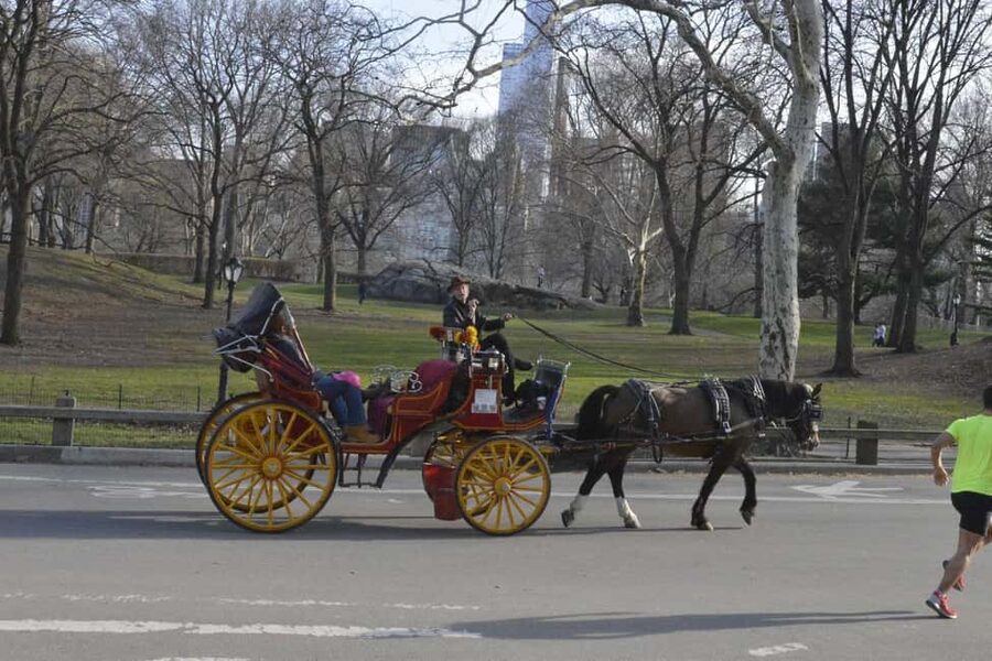 NYC: Central Park Horse-Drawn Carriage Ride - Key points at a glance