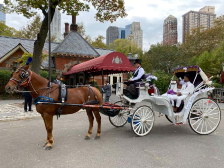 NYC: Central Park Horse-Drawn Carriage Ride - Wollman Rink and the Carousel add family appeal