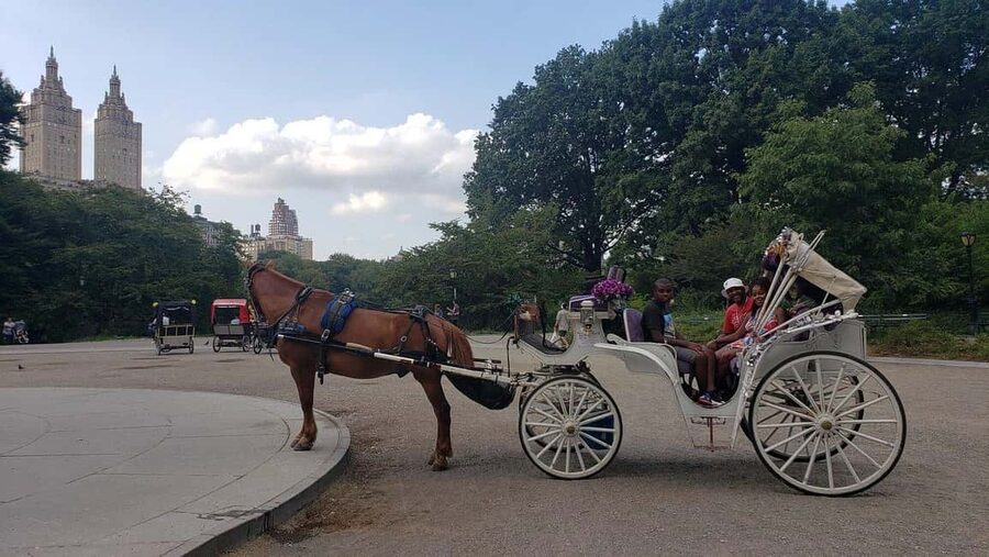 NYC: Central Park Horse-Drawn Carriage Ride - The Dakota Building and Balto’s statue