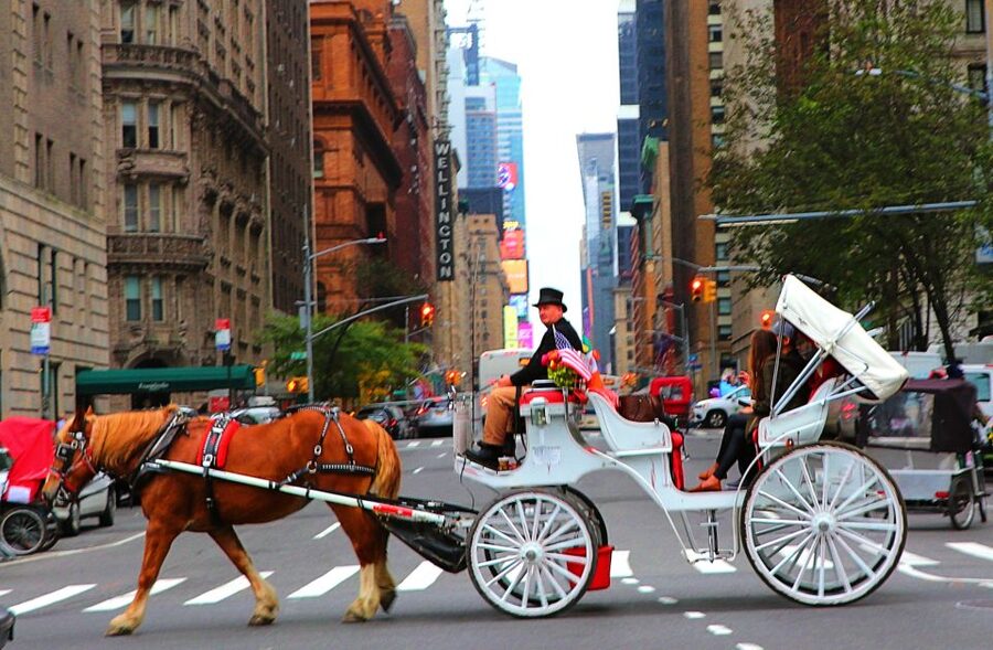 NYC: Central Park Horse-Drawn Carriage Ride (up to 4 Adults) - The guide and horse make or break the mood