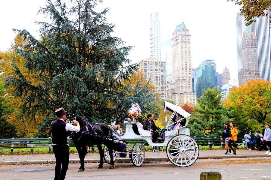 NYC: Central Park Horse-Drawn Carriage Ride (up to 4 Adults) - Why a carriage is a smart way to see Central Park