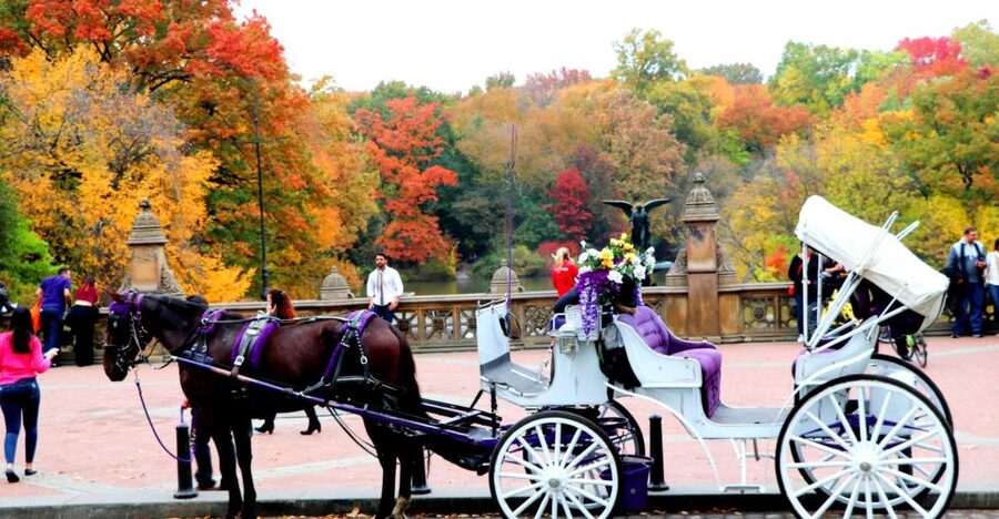 NYC: Central Park Horse-Drawn Carriage Ride (up to 4 Adults) - The Dairy, Balto, and the first look at the park