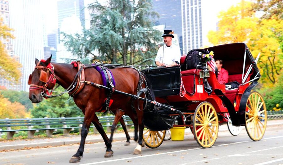 NYC: Central Park Horse-Drawn Carriage Ride (up to 4 Adults) - Loeb Boathouse and Central Park’s changing scenery