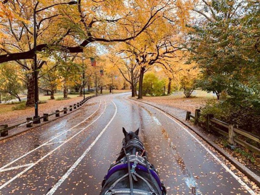 NYC: Central Park Horse-Drawn Carriage Ride (up to 4 Adults) - Strawberry Fields and the Imagine mosaic
