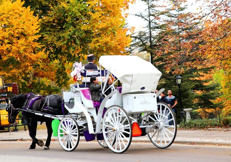 NYC: Central Park Horse-Drawn Carriage Ride (up to 4 Adults) - Starting at the José Julián Martí Statue