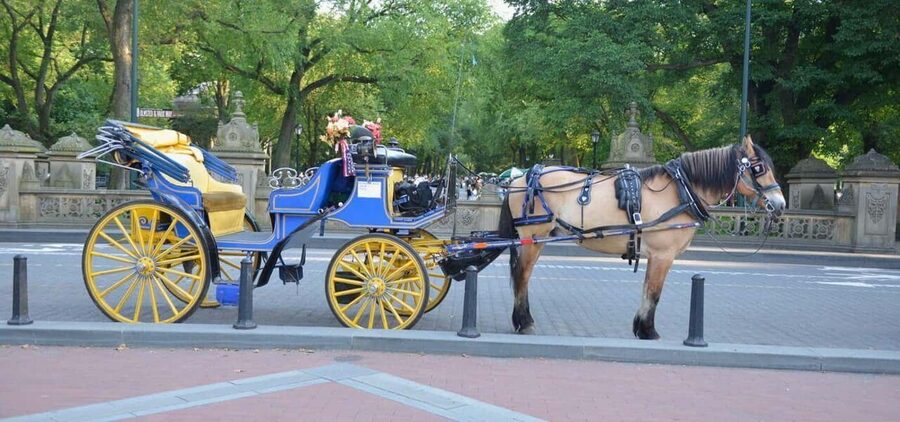NYC: Central Park Horse-Drawn Carriage Ride - Wagner Cove gives the ride a quiet opening