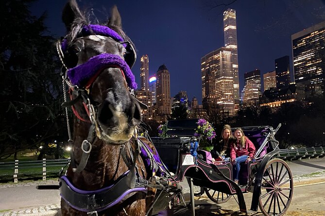 NYC Central Park & Rockefeller Center Private Horse Carriage Tour - St. Patrick’s Cathedral and Midtown’s grand scale