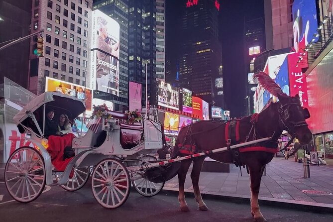 NYC Central Park & Rockefeller Center Private Horse Carriage Tour - What the private carriage format changes
