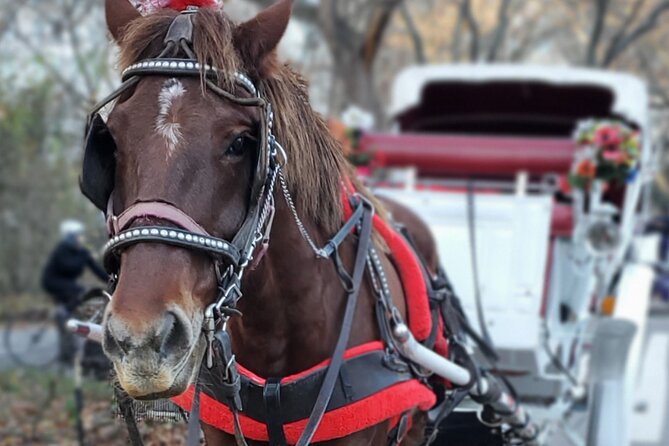 NYC Central Park & Rockefeller Center Private Horse Carriage Tour - Is $195 a fair price for four people?